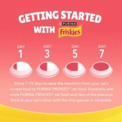 Friskies Kitten Discoveries Dry Kitten Food -Pet Products Store friskieskittendiscoveriesdrykittenfood 1kg 6