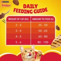 Friskies Meaty Grills Dry Cat Food -Pet Products Store friskiesmeatygrillsdrycatfood 1kg 4