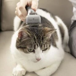 FURminator Adjustable Dematter Tool For Dogs & Cats -Pet Products Store furminatoradjustabledemattertoolfordogscats 5