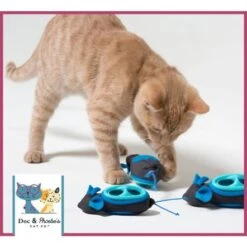 GimCat Indoor Hunting Cat Feeder Kit -Pet Products Store gimcatindoorhuntingcatfeederkit 7