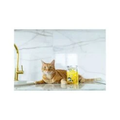 Little Big Paw Gourmet Chicken Mousse Adult Cat Food Pouch - 85 G - Pack Of 12 -Pet Products Store littlebigpawgourmetchickenmousseadultcatfoodpouch 85g packof12 3