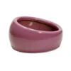 Living World Ergonomic Dish Pink -Pet Products Store livingworldergonomicdishpinklarge 1 1