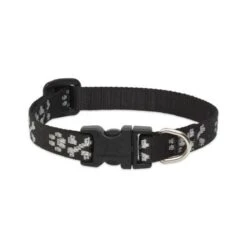 Lupine Pet Original Designs Adjustable Dog Collar, Bling Bonz