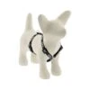 Lupine Pet Original Designs Roman Dog Harness, Bling Bonz -Pet Products Store lupinepetoriginaldesignsromandogharnessblingbonz12 20 1 1