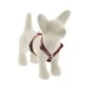 Lupine Pet Original Designs Roman Dog Harness, El Paso -Pet Products Store lupinepetoriginaldesignsromandogharnesselpaso9 14 1 1