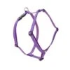 Lupine Pet Original Designs Roman Dog Harness -Pet Products Store lupinepetoriginaldesignsromandogharnessjellyroll 1 1