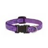 Lupine Pet Originals 1/2" Jelly Roll 6"-9" Small Dog Collar -Pet Products Store lupinepetoriginals1 2jellyroll6 9smalldogcollar