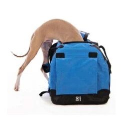 M-Pets Flow Crate For Cats And Dogs - Blue -Pet Products Store m petsflowcrateforcatsanddogs 91lx63wx63hcm 9