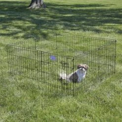 Midwest Foldable Metal Exercise Pet Playpen - Black -Pet Products Store midwestfoldablemetalexercisepetplaypen black 24wx24hinch 3