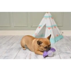 MOP Bertie The Bat 2in1 Toy -Pet Products Store mopbertiethebat2in1toy 3