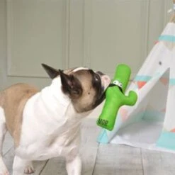 MOP Carlos The Cactus Plush Rope Toy -Pet Products Store mopcarlosthecactusplushropetoy 3