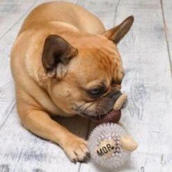 MOP Kevin The Kiwi Bird 2in1 Toy -Pet Products Store mopkevinthekiwibird2in1toy 3