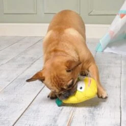 MOP Penny The Pineapple Plush Rope Toy -Pet Products Store moppennythepineappleplushropetoy 3