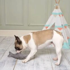 MOP Sidney The Shark Squeaky Plush Toy -Pet Products Store mopsidneythesharksqueakyplushtoy 3