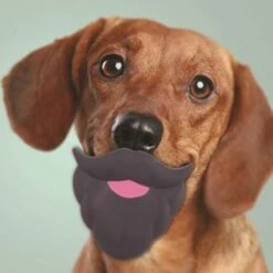 MOP Vinyl Squeaky Beard Toy -Pet Products Store mopvinylsqueakybeardtoy 4