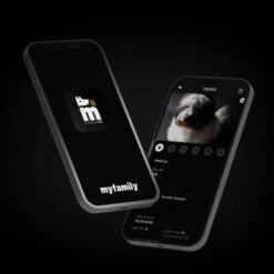 MyFamily Memopet Black Dog Collar -Pet Products Store myfamily memopet black dog collar