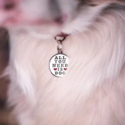 MyFamily All You Need Is Dog Big Circle Pet ID Tag -Pet Products Store myfamilyallyouneedisdogbigcirclepetidtag 3