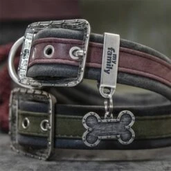 MyFamily Big Bone Bronx Futuristic Pet ID Tag -Pet Products Store myfamilybigbonebronxfuturisticpetidtag 3