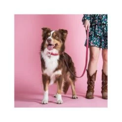 MyFamily Charms Butterfly Pet ID Tag 7 MyFamily Charms Butterfly Pet ID Tag -Pet Products Store myfamilycharmsbutterflypetidtag 3 1