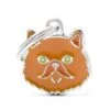 MyFamily Friends Red Persian Pet ID Tag -Pet Products Store myfamilyfriendsredpersianpetidtag 1