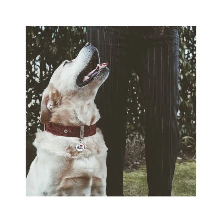 MyFamily I Love Mom Pet ID Tag 5 MyFamily I Love Mom Pet ID Tag - Image 3