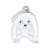MyFamily Maltese Pet ID Tag - White -Pet Products Store myfamilymaltesepetidtag white 1