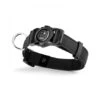 MyFamily Memopet Black Dog Collar 1 MyFamily Memopet Black Dog Collar -Pet Products Store myfamilymemopetblackdogcollar small 1