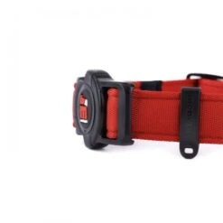 MyFamily Memopet Red Dog Collar -Pet Products Store myfamilymemopetreddogcollar small 4