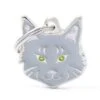 MyFamily Silver Maine Coon Cat ID Tag -Pet Products Store myfamilysilvermainecooncatidtag 1