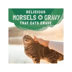 Natural Balance Platefulls Chicken & Giblets Formula In Gravy Cat Pouch - Pack Of 24 -Pet Products Store naturalbalanceplatefullschicken gibletsformulaingravycatpouch 5