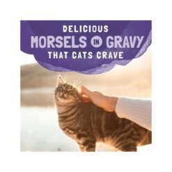 Natural Balance Platefulls Indoor Chicken & Chicken Liver In Gravy Cat Pouch - Pack Of 24 -Pet Products Store naturalbalanceplatefullsindoorchicken chickenliveringravycatpouch packof24 6
