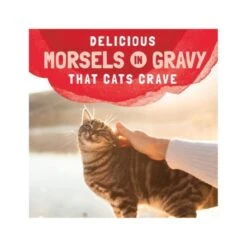 Natural Balance Platefulls Salmon Tuna & Crab In Gravy Cat Pouch - 85 G - Pack Of 24 -Pet Products Store naturalbalanceplatefullssalmontuna crabingravycatpouch 85g 6