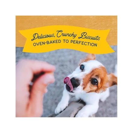 Natural Balance Rewards Crunchy Biscuits With Real Duck Dog Treat - 227 G 7 Natural Balance Rewards Crunchy Biscuits With Real Duck Dog Treat - 227 G - Image 5