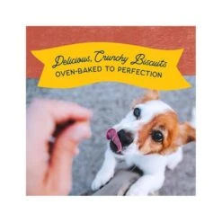 Natural Balance Rewards Crunchy Biscuits With Real Salmon Dog Treat - 227 G -Pet Products Store naturalbalancerewardscrunchybiscuitswithrealsalmondogtreat 227g 5