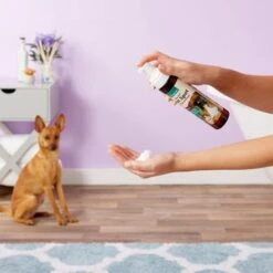 Naturvet Aller-911 Hot Spot Foam, 8 Oz -Pet Products Store naturvetaller 911hotspotfoam8oz 5