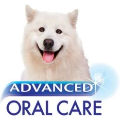 Nylabone Advanced Oral Care Cat Dental Kit -Pet Products Store nylaboneadvancedoralcarecatdentalkit 5