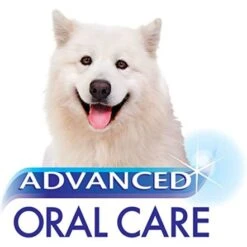 Nylabone Advanced Oral Care Dog Dental Kit -Pet Products Store nylaboneadvancedoralcaredogdentalkit 2