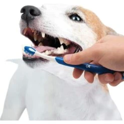 Nylabone Advanced Oral Care Puppy Dental Kit 11 Nylabone Advanced Oral Care Puppy Dental Kit -Pet Products Store nylaboneadvancedoralcarepuppydentalkit 5
