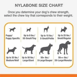 Nylabone Flexi Chew 1 Chicken And 1 Original Twin Pack Petite Chew Toy -Pet Products Store nylaboneflexichew1chickenand1originaltwinpackpetitechewtoy 2