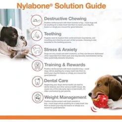 Nylabone Power Chew Wavy Bone Chicken, Large -Pet Products Store nylabonepowerchewwavybonechickenlarge 4