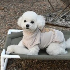 Olchi Camping Dog T-Shirt - Beige -Pet Products Store olchicampingdogt shirt beige small 4 1