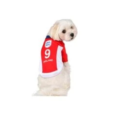 Olchi England Football Jersey Dog T-Shirt - Red -Pet Products Store olchienglandfootballjerseydogt shirt red 4