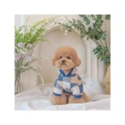 Olchi Foggy Hood Dog T-shirt - Navy -Pet Products Store olchifoggyhooddogt shirt navy large 3 1