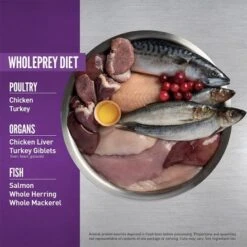 Orijen Kitten Formula Dry Food -Pet Products Store orijenkittenformuladryfood 340g 3