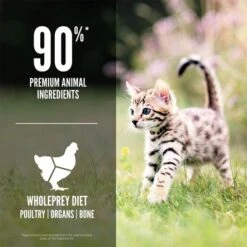 Orijen Kitten Formula Dry Food -Pet Products Store orijenkittenformuladryfood 340g 4