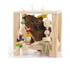 Oxbow Enriched Life Play Table -Pet Products Store oxbowenrichedlifeplaytable 4