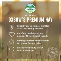 Oxbow Hay Blends Western Timothy And Orchard - 2.55 Kg 9 Oxbow Hay Blends Western Timothy And Orchard - 2.55 Kg -Pet Products Store oxbowhayblendswesterntimothyandorchard 2.55kg 3