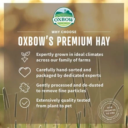 Oxbow Hay Blends Western Timothy And Orchard - 2.55 Kg 5 Oxbow Hay Blends Western Timothy And Orchard - 2.55 Kg - Image 3