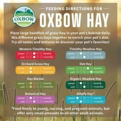 Oxbow Hay Blends Western Timothy And Orchard - 2.55 Kg 10 Oxbow Hay Blends Western Timothy And Orchard - 2.55 Kg -Pet Products Store oxbowhayblendswesterntimothyandorchard 2.55kg 4