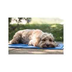 Pawise Pet Cooling Mat -Pet Products Store pawisepetcoolingmat 11